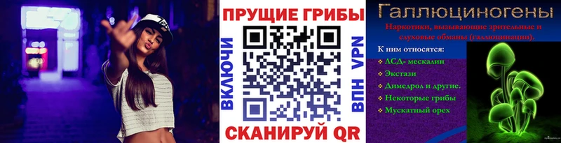 Псилоцибиновые грибы GOLDEN TEACHER  купить наркоту  Колпашево 