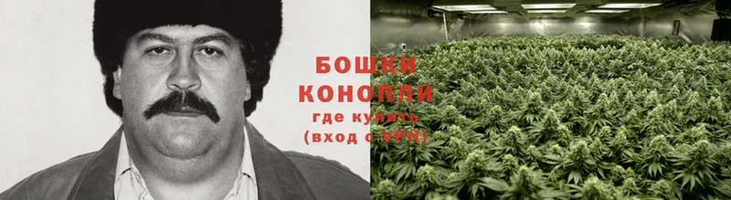 Конопля Ganja  Колпашево 